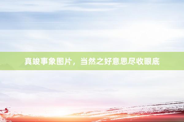 真竣事象图片，当然之好意思尽收眼底